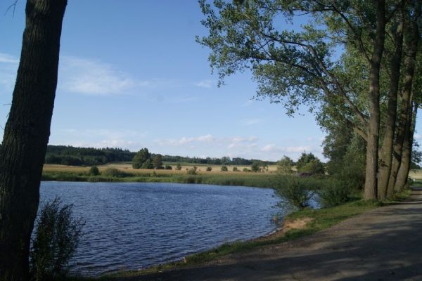 Ve Vrčeni na Plzeňsku zůstane Opatský rybník v pronájmu místnímu spolku