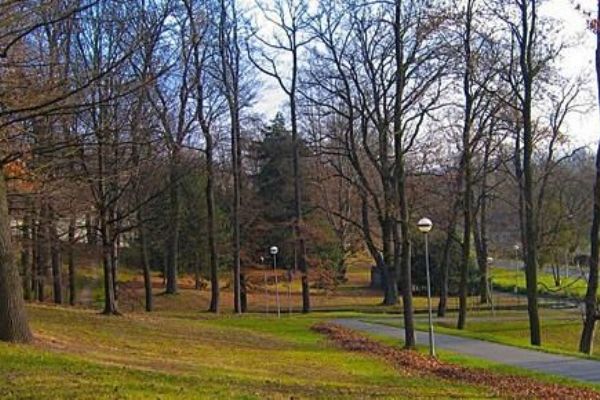 Parky v Plzni dlouhodobě vysychají