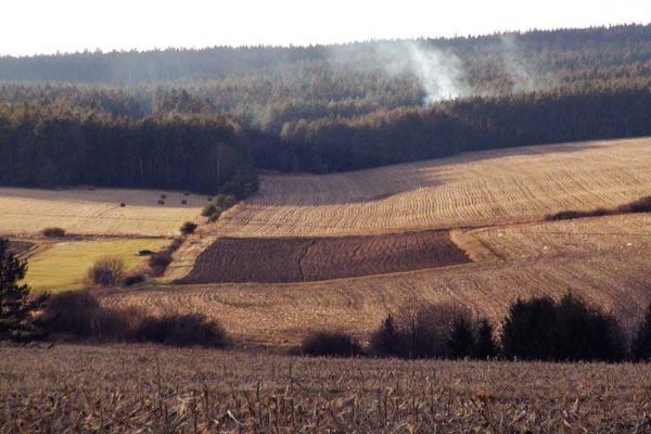 Zahrádkáři i zemědělci na Plzeňsku se bojí mrazu