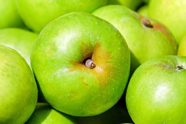 Letošní nadúroda srazí v Plzeňském kraji dolů ceny jablek