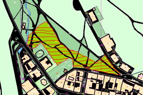 Mariánské Lázně: Město upozorňuje na plánované kácení v parku u Lesního pramene