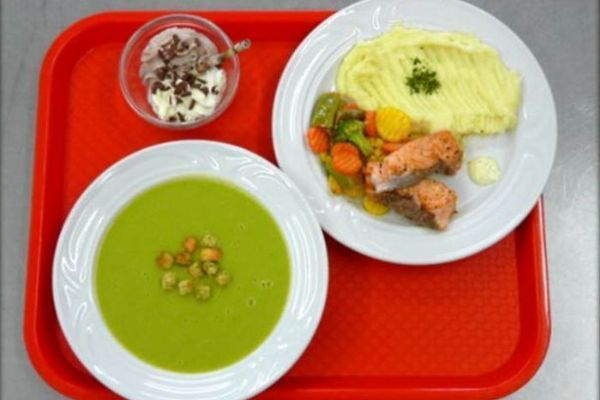 Až o 11 korun se liší ceny školních obědů v Plzni