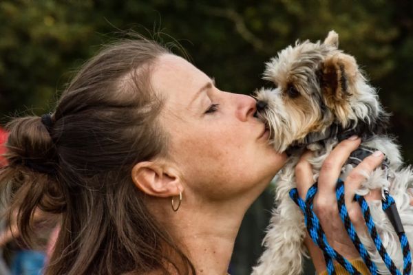 Borský park obsadily stovky psů, volil se i ten nej
