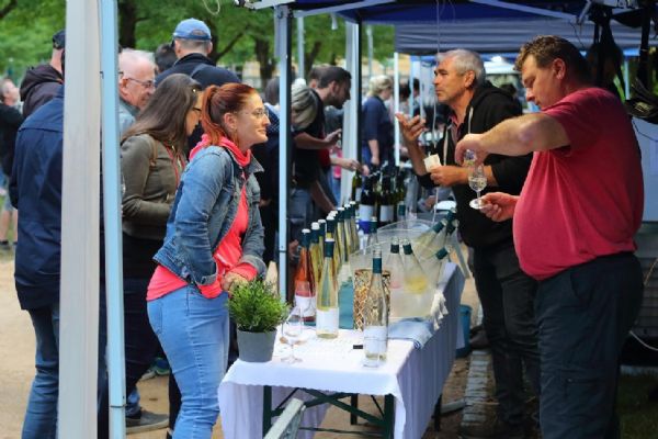 Habrmannův park ožije v pátek a sobotu Doubraveckými slavnostmi vína