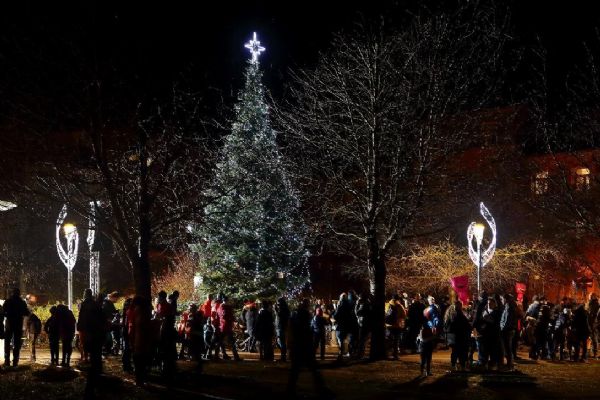  Na Doubravce se vánoční strom rozzáří v sobotu 2. prosince 