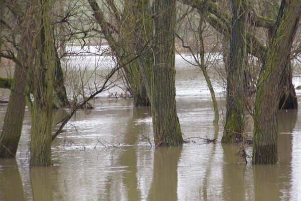 Voda v plzeňských řekách stoupla, město nabádá lidi k opatrnosti