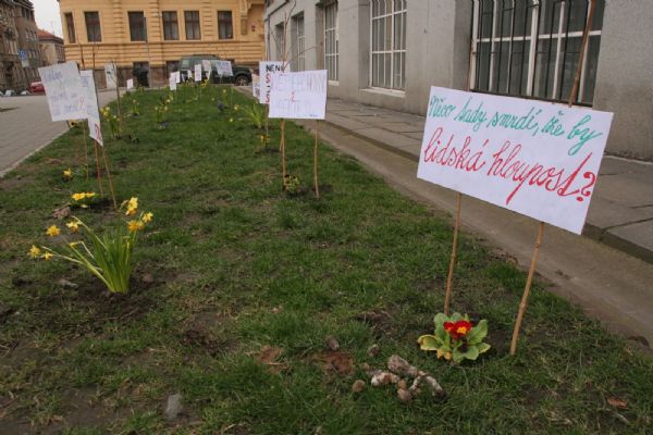 Na Masarykově náměstí protestují květiny proti psím výkalům na chodnících a ve veřejné zeleni 