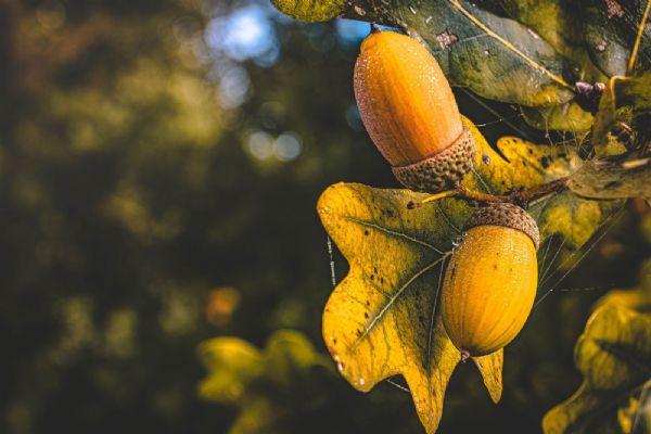 Cheb: Všechno je jednou poprvé – Marek Lučin, nadšený amatérský fotograf, představí svou tvorbu  Cheb: Všechno je jednou poprvé – Marek Lučin, nadšený amatérský fotograf, představí svou tvorbu