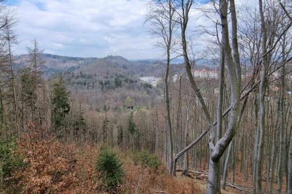 Karlovy Vary: Přírodní rezervace na území lázeňských lesů bude brzy zaregistrována