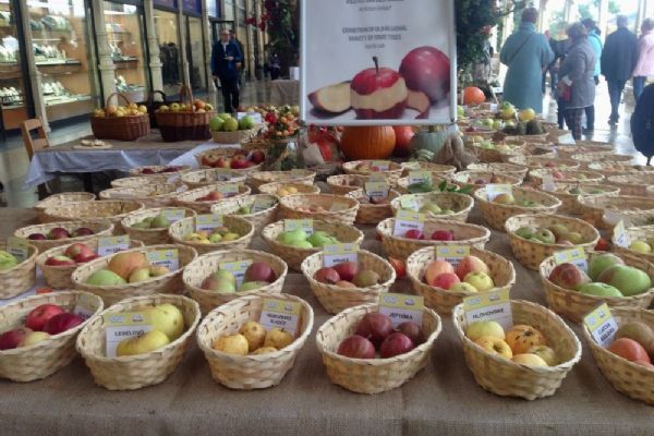 Mariánské Lázně: Hotelová škola připraví 1000 štrúdlů na festival jablek