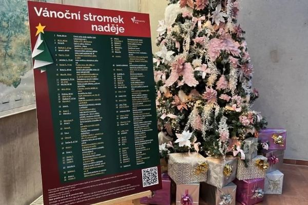 Region: Karlovarský kraj bude rozdávat radost prostřednictvím Vánočního stromu splněných přání Region: Karlovarský kraj bude rozdávat radost prostřednictvím Vánočního stromu splněných přání