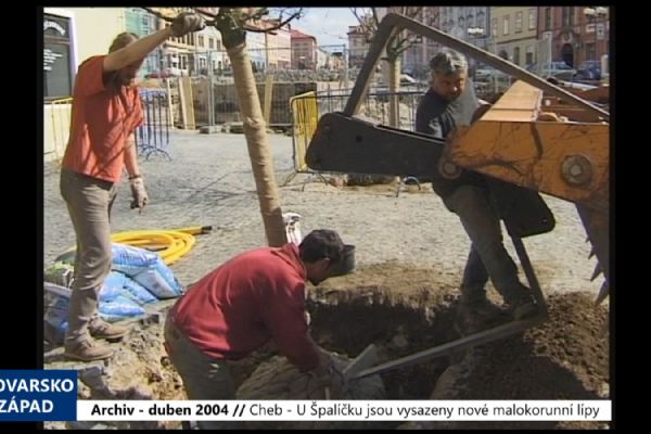 2004 – Cheb: U Špalíčku jsou vysazeny nové malokorunní lípy (TV Západ)