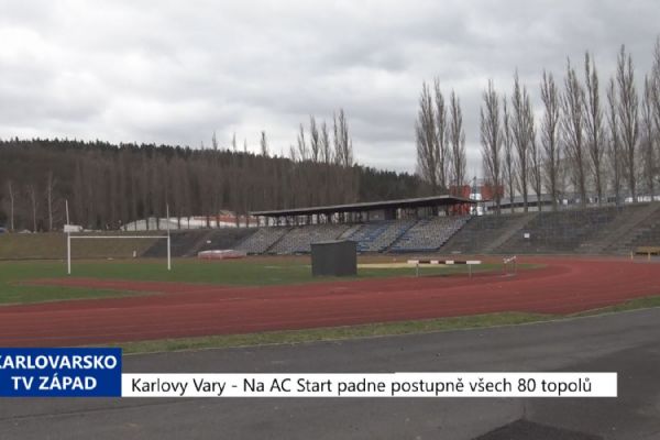 Karlovy Vary: Na AC Start padne postupně všech 80 topolů (TV Západ)