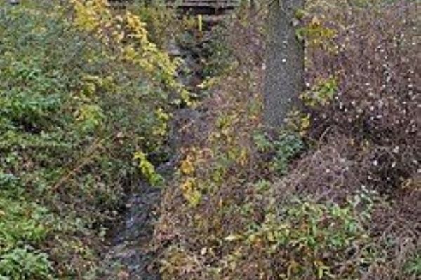 Karlovarský vodoprávní úřad vydal další zákaz odběru povrchových vod