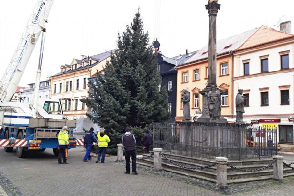 Sokolov: Na Starém náměstí už stojí vánoční strom