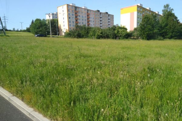 Sokolov: Šest lokalit ve městě bude bez pravidelné seče