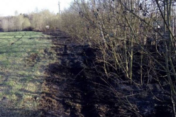 Chebsko: Podél kolejí hořela suchá tráva