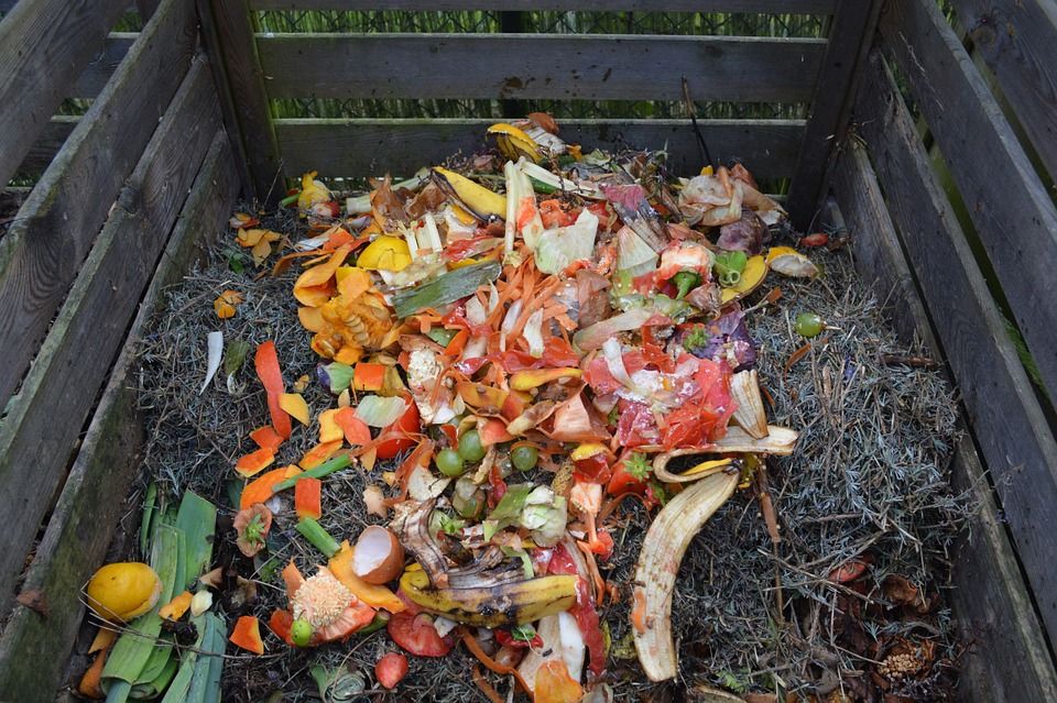 Rokycanští už mohou vyplňovat dotazníky kvůli kompostérům