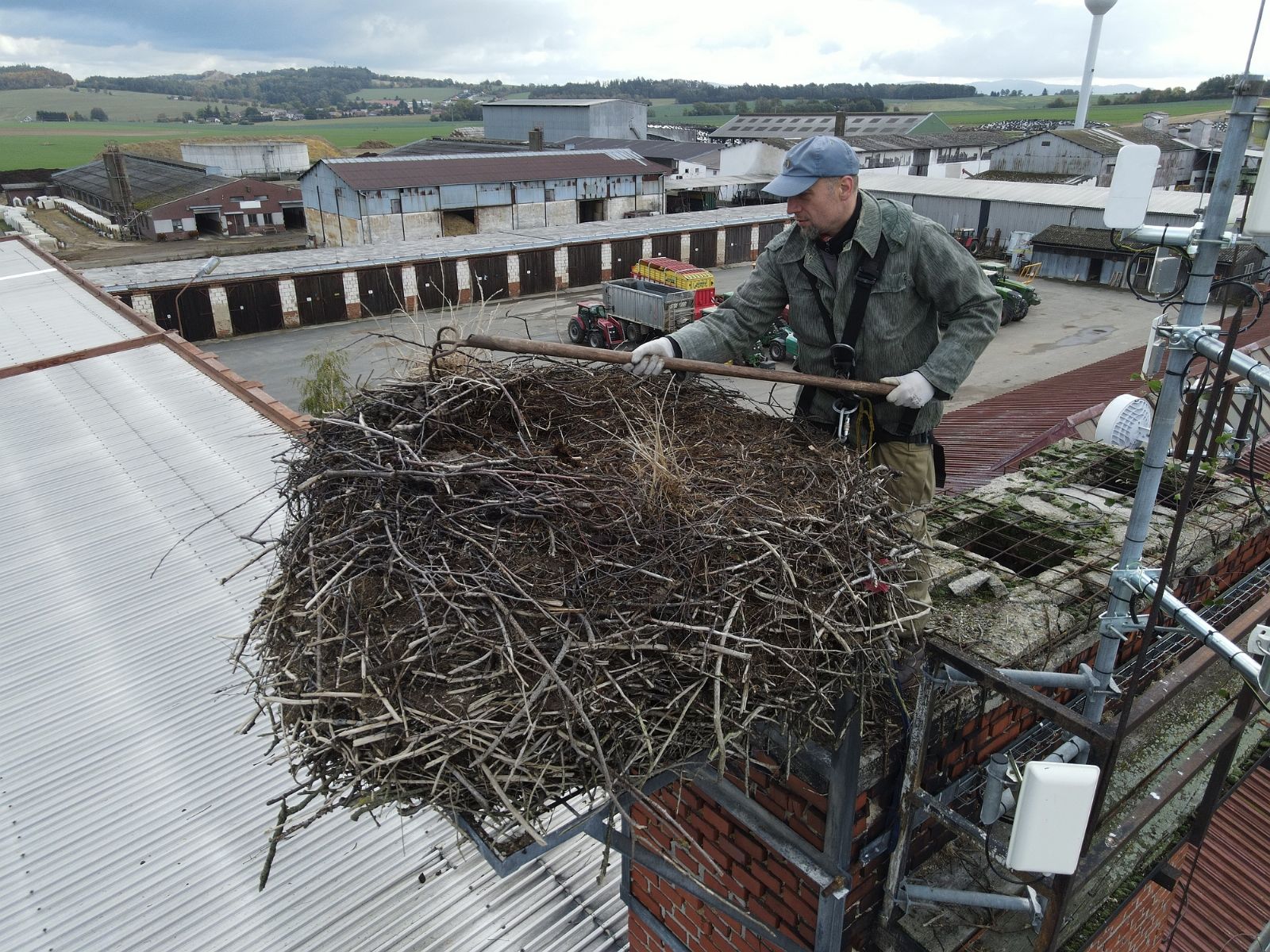 Zvířecí záchranáři snižovali čapí hnízdo v Draženově