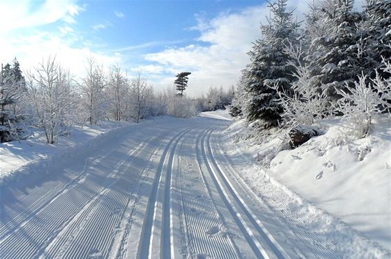 Šumavské obce mohou získat dotace na úpravu lyžařských stop