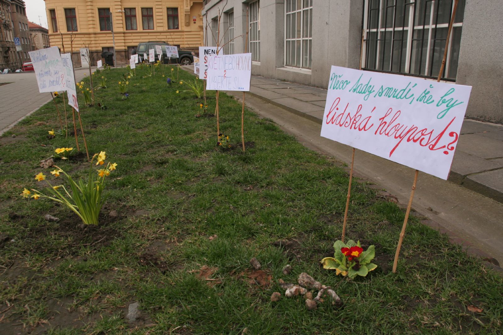 Na Masarykově náměstí protestují květiny proti psím výkalům na chodnících a ve veřejné zeleni 