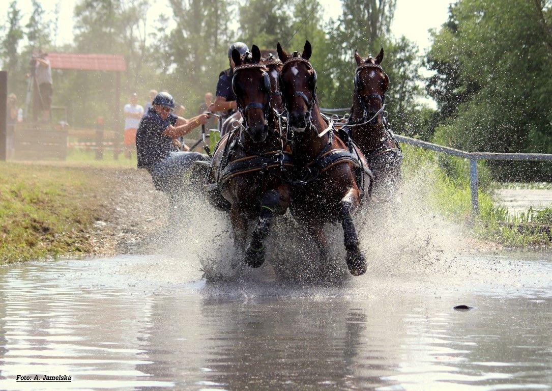 Závody koňských spřežení v Nebanicích u Chebu letos ve velkém stylu