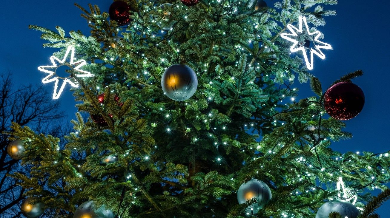 Zoo Praha v neděli rozsvítí vánoční strom