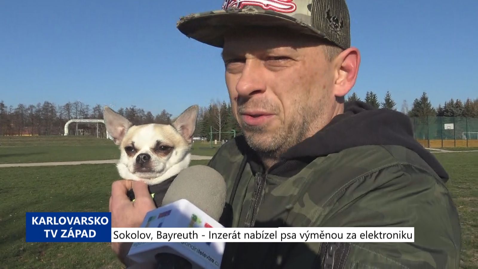 Sokolov: Inzerát nabízel psa výměnou za elektroniku (TV Západ)