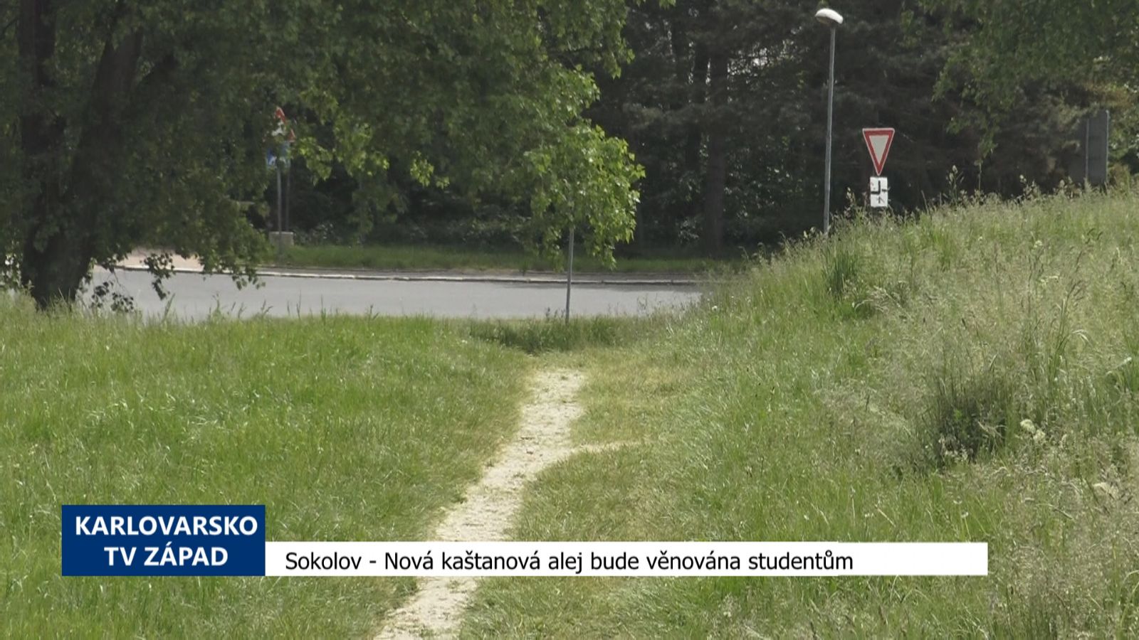 Sokolov: Nová kaštanová alej bude věnována studentům (TV Západ)
