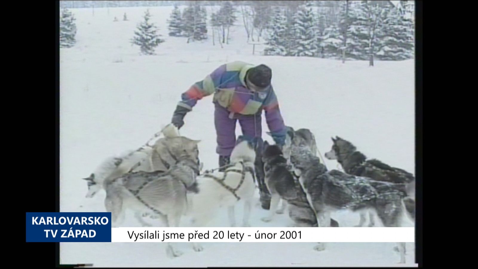 2001 – Boží Dar: Byly vybudovány trasy pro psí spřežení (TV Západ)