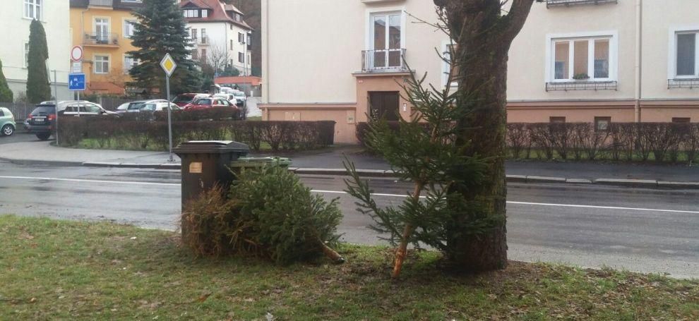 Karlovy Vary: Svoz vánočních stromků začne ihned po svátcích