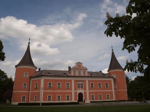 Sokolov: Muzeum obnoví sklepení a vystaví zlatý poklad