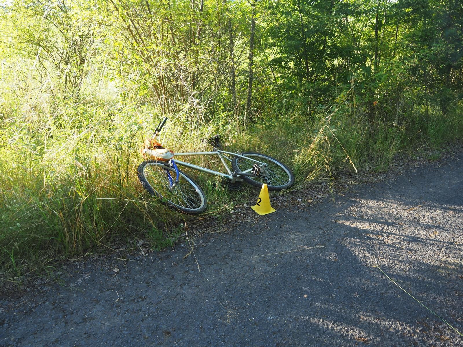 Štědrá: Opilý cyklista skončil ve křoví